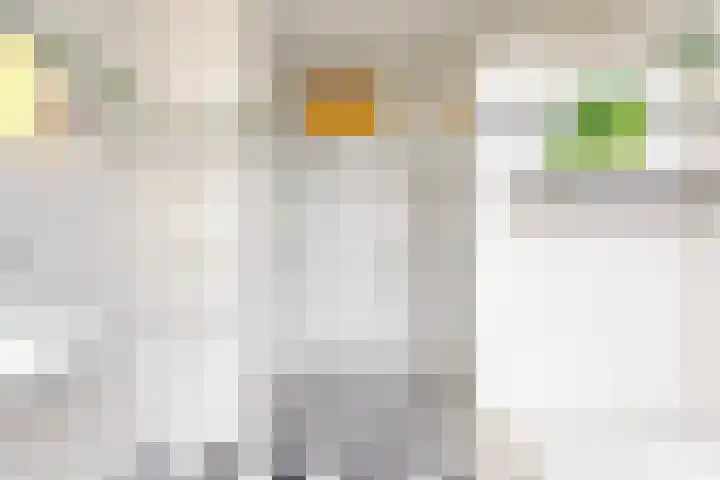 Laan van Meerdervoort 253 A Den Haag thumbnail 34