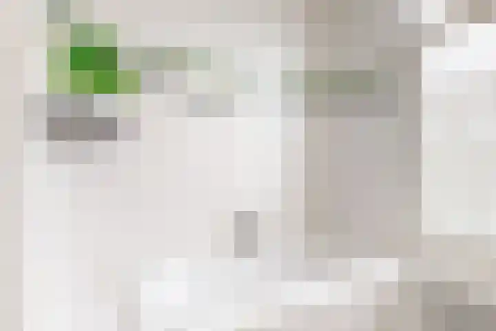 Laan van Meerdervoort 253 A Den Haag thumbnail 35