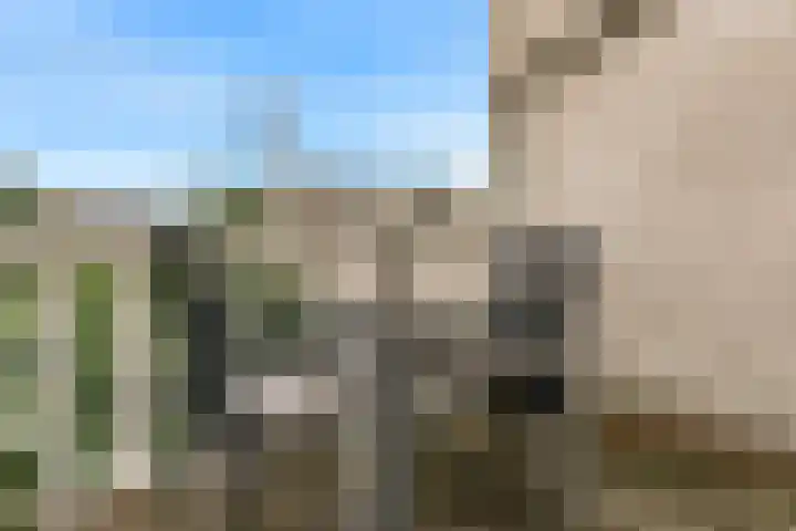 Laan van Meerdervoort 253 A Den Haag thumbnail 39