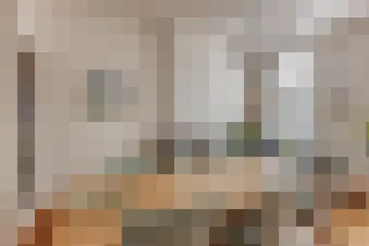 Laan van Meerdervoort 273 A Den Haag thumbnail 13