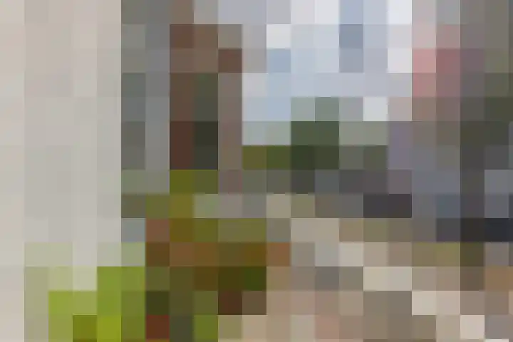 Laan van Meerdervoort 273 A Den Haag thumbnail 16