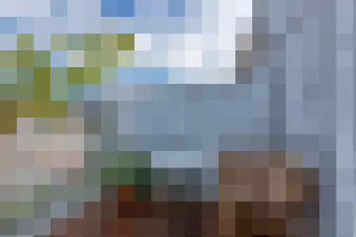 Laan van Meerdervoort 273 A Den Haag thumbnail 28