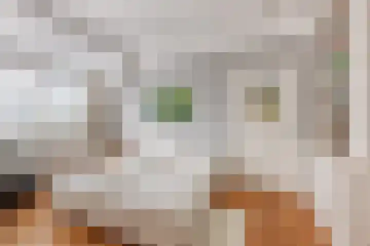 Laan van Meerdervoort 273 A Den Haag thumbnail 35
