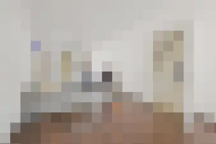 Laan van Meerdervoort 278 Den Haag thumbnail 10