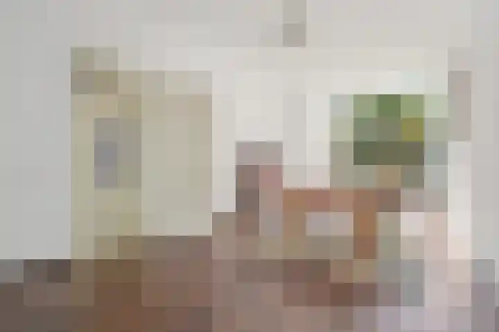 Laan van Meerdervoort 278 Den Haag thumbnail 11