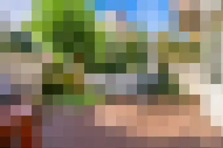 Laan van Meerdervoort 278 Den Haag thumbnail 14