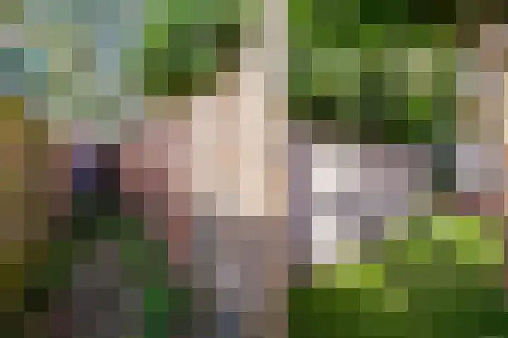 Laan van Meerdervoort 278 Den Haag thumbnail 15
