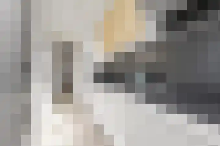 Laan van Meerdervoort 278 Den Haag thumbnail 18