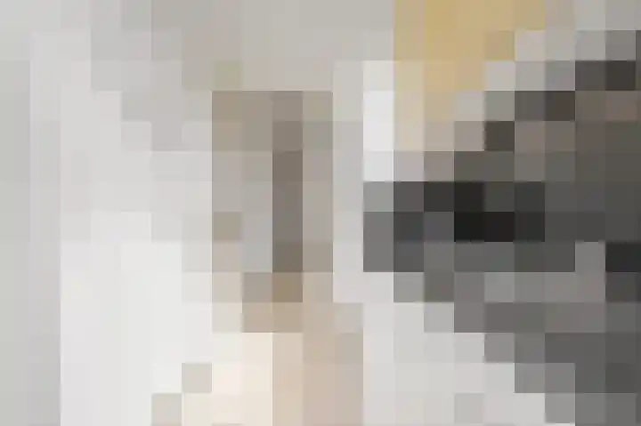Laan van Meerdervoort 278 Den Haag thumbnail 20