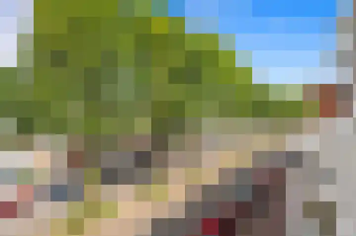 Laan van Meerdervoort 278 Den Haag thumbnail 26