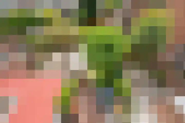 Laan van Meerdervoort 278 Den Haag thumbnail 33