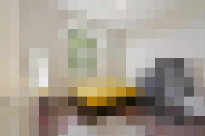Laan van Meerdervoort 278 Den Haag thumbnail 42