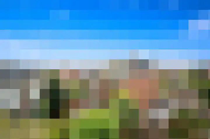 Laan van Meerdervoort 278 Den Haag thumbnail 48
