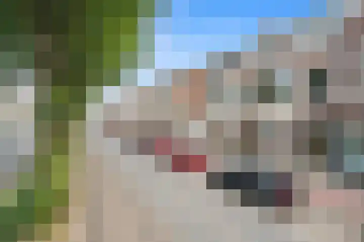 Laan van Meerdervoort 278 Den Haag thumbnail 50