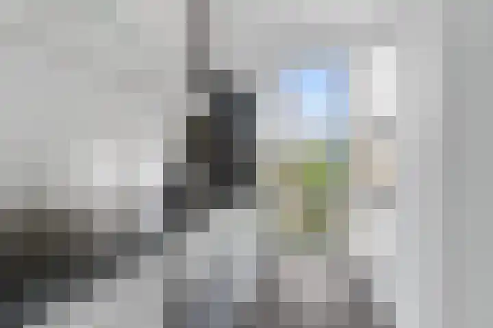Laan van Meerdervoort 280 Den Haag thumbnail 17