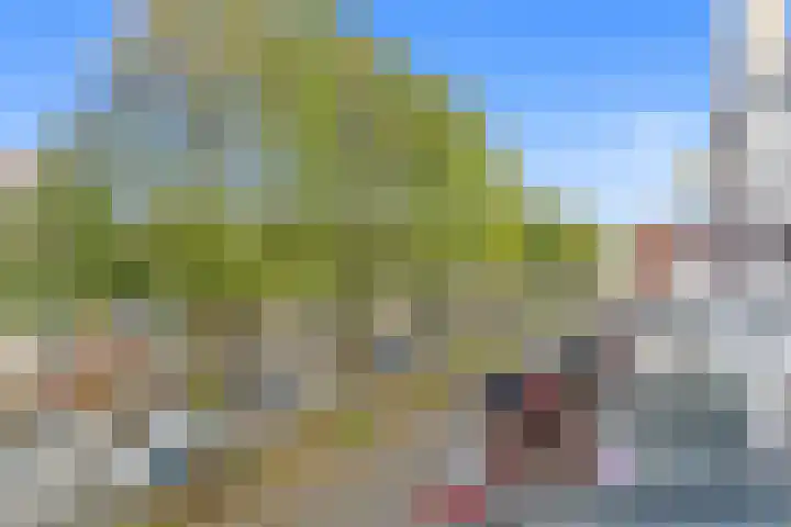 Laan van Meerdervoort 280 Den Haag thumbnail 31