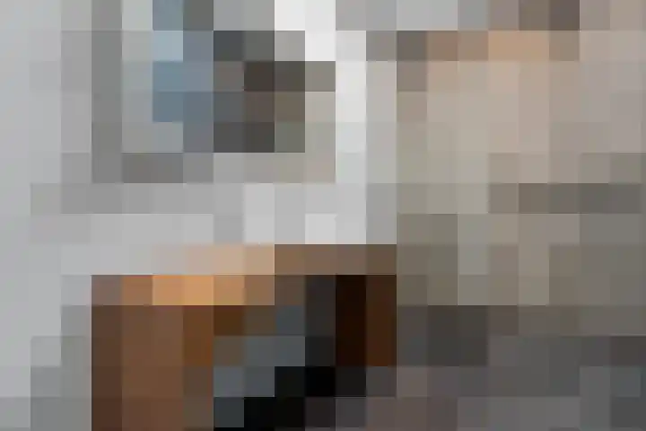 Laan van Meerdervoort 280 Den Haag thumbnail 33