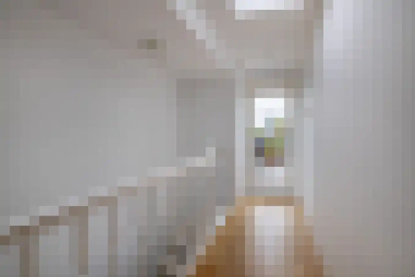 Laan van Meerdervoort 285 A Den Haag thumbnail 39