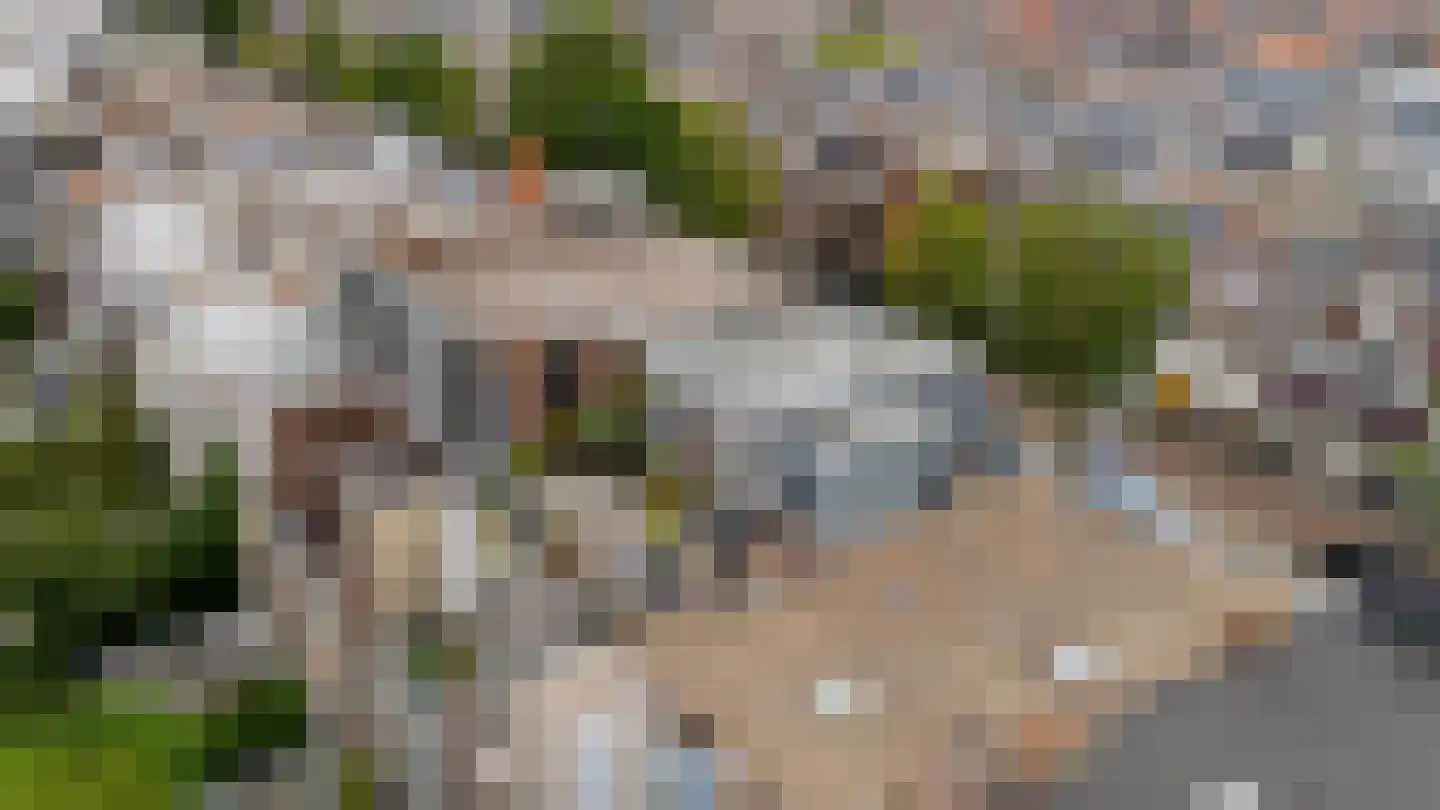 Laan van Meerdervoort 285 A Den Haag thumbnail 45