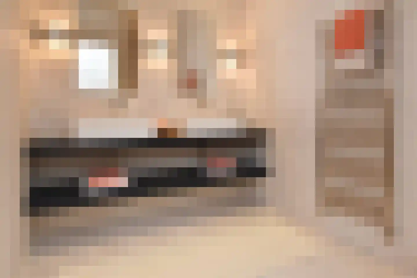 Laan van Meerdervoort 298 A Den Haag thumbnail 27