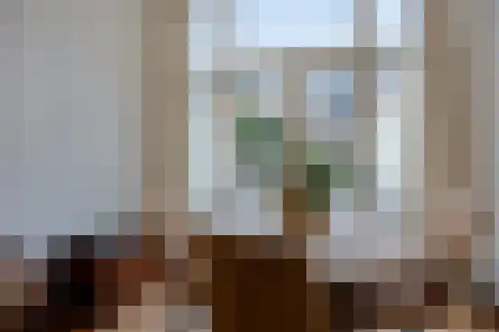 Laan van Meerdervoort 304 Den Haag thumbnail 12