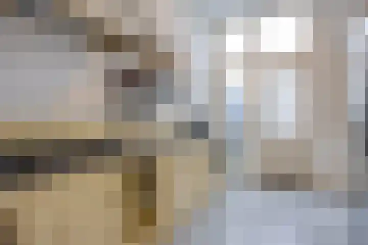 Laan van Meerdervoort 304 Den Haag thumbnail 15