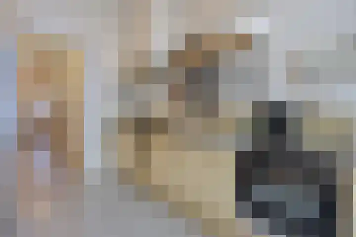 Laan van Meerdervoort 304 Den Haag thumbnail 16
