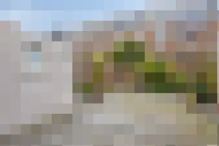 Laan van Meerdervoort 304 Den Haag thumbnail 17