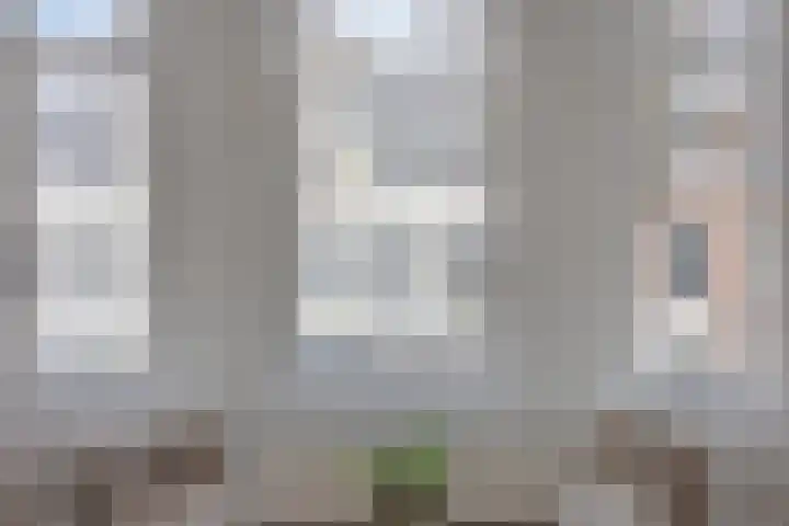 Laan van Meerdervoort 304 Den Haag thumbnail 23
