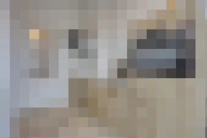 Laan van Meerdervoort 304 Den Haag thumbnail 29