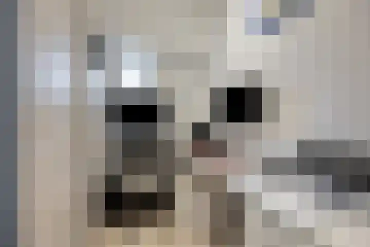 Laan van Meerdervoort 304 Den Haag thumbnail 39