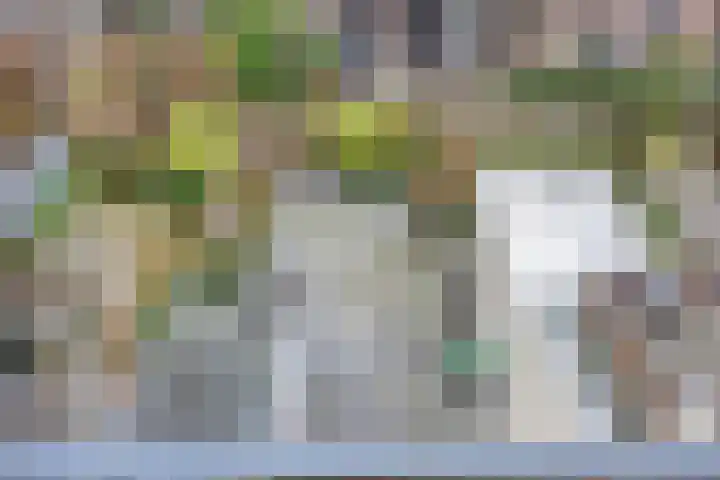 Laan van Meerdervoort 304 Den Haag thumbnail 44