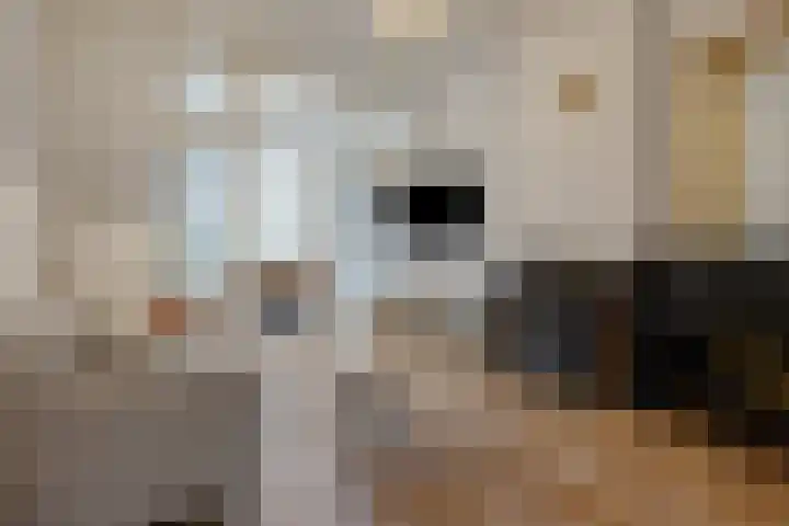 Laan van Meerdervoort 304 Den Haag thumbnail 5
