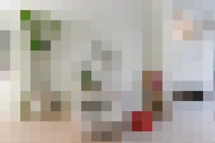 Laan van Meerdervoort 314 A Den Haag thumbnail 18