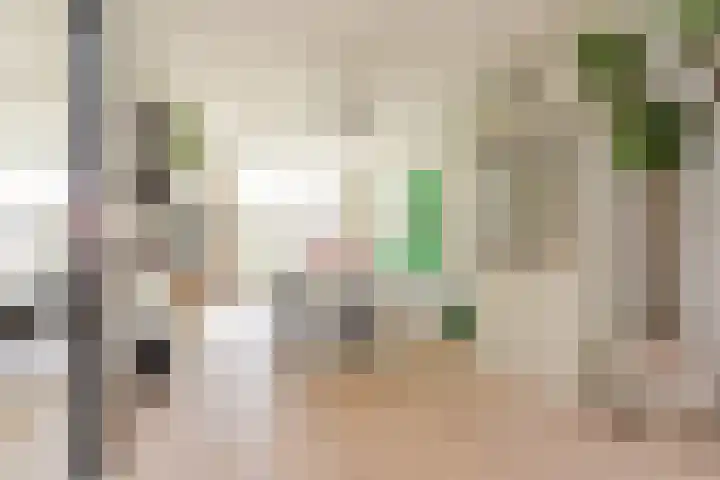 Laan van Meerdervoort 314 A Den Haag thumbnail 21