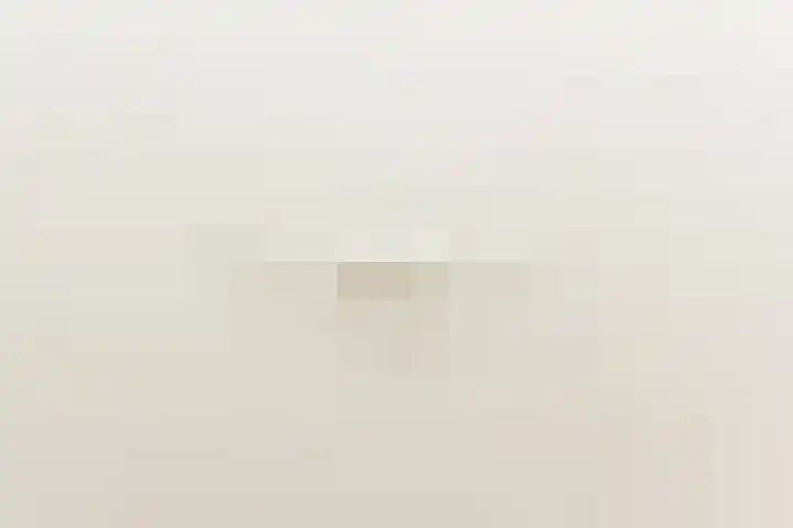 Laan van Meerdervoort 314 A Den Haag thumbnail 23
