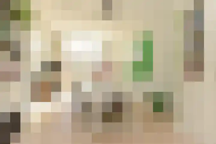 Laan van Meerdervoort 314 A Den Haag thumbnail 24