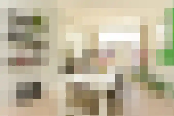 Laan van Meerdervoort 314 A Den Haag thumbnail 25