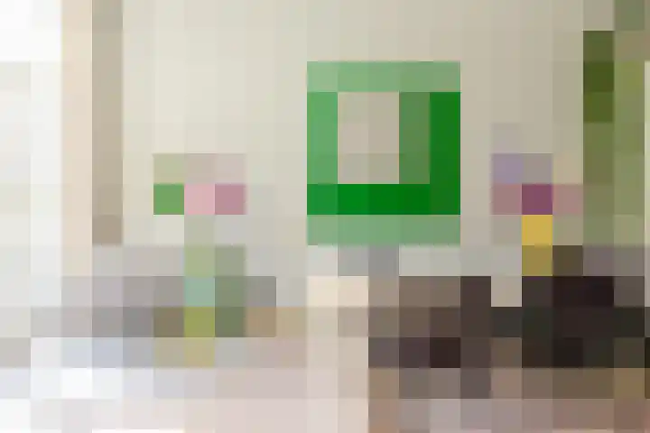 Laan van Meerdervoort 314 A Den Haag thumbnail 31
