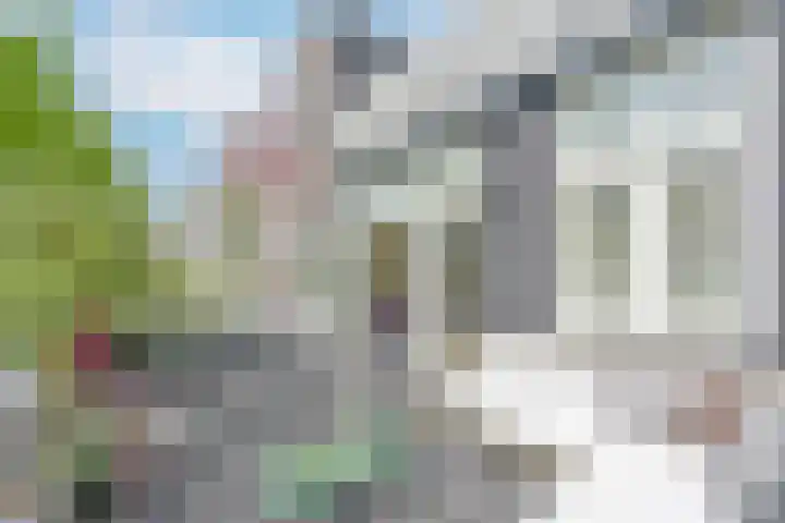 Laan van Meerdervoort 314 A Den Haag thumbnail 34