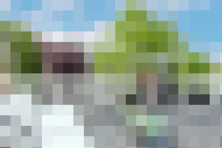 Laan van Meerdervoort 314 A Den Haag thumbnail 35
