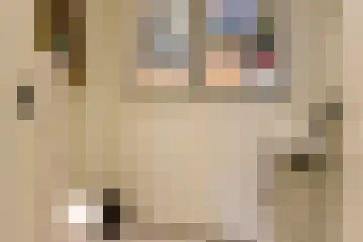 Laan van Meerdervoort 314 A Den Haag thumbnail 37