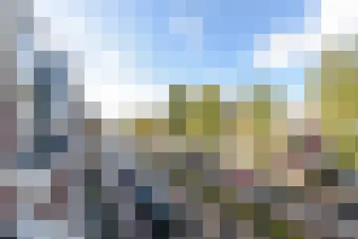 Laan van Meerdervoort 314 A Den Haag thumbnail 46