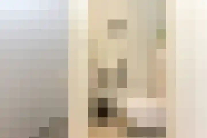 Laan van Meerdervoort 314 A Den Haag thumbnail 50