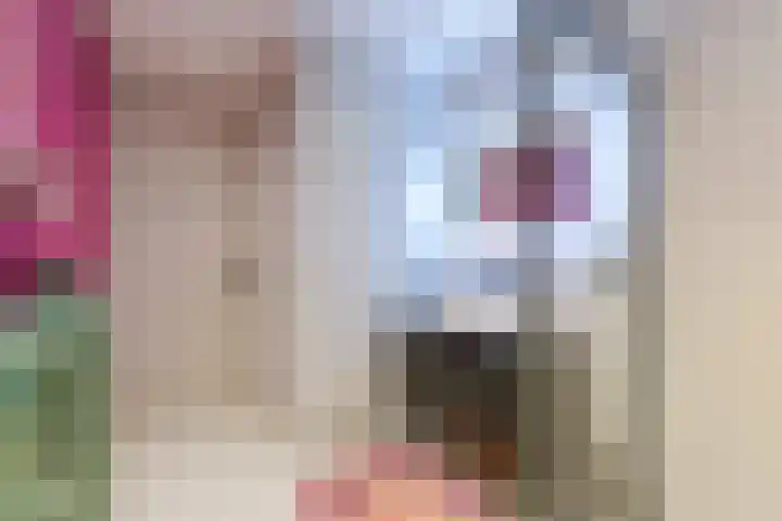 Laan van Meerdervoort 314 A Den Haag thumbnail 52