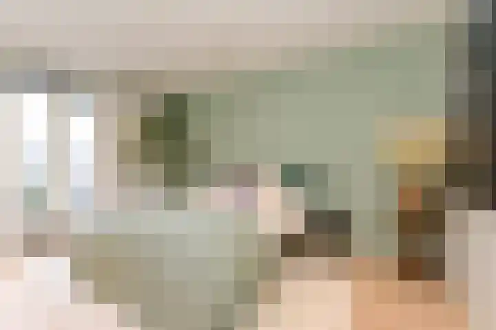 Laan van Meerdervoort 314 A Den Haag thumbnail 53