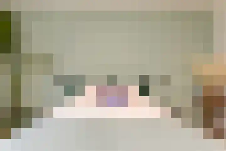 Laan van Meerdervoort 314 A Den Haag thumbnail 54