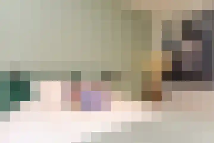 Laan van Meerdervoort 314 A Den Haag thumbnail 55