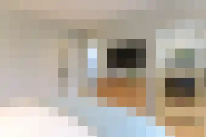 Laan van Meerdervoort 314 A Den Haag thumbnail 56