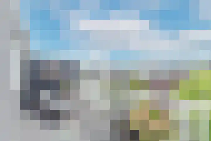 Laan van Meerdervoort 314 A Den Haag thumbnail 61